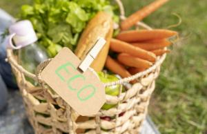 Сьогодні Україна — це не просто учасник ринку, а один з лідерів екологічного виробництва