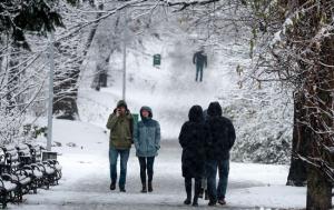 Грудень був аномально теплим та посушливим для рослин