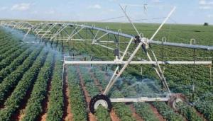 У 2022 – 2023 роках цей напрямок залишався для компанії дотаційним.