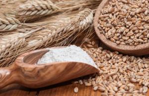 Попри стабільні темпи відвантажень у січні, загальний показник експорту наразі відстає від минулорічного