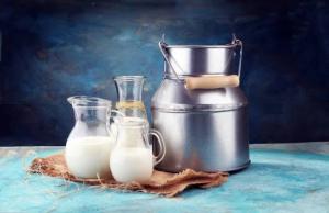 У порівнянні з січнем 2025 року середня ціна на молоко-сировину в Україні знизилася більш ніж на 20%