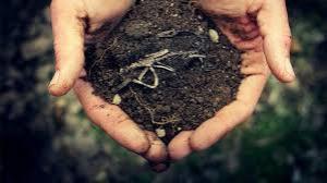 Якщо площа земельної ділянки перевищує встановлені норми, податок сплачується