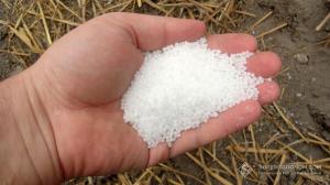 Дефіцит аміачної селітри оцінюється до 70% від потреби