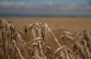 Наприкінці минулого року Мінекономіки оновило критерії визначення критично важливих підприємств