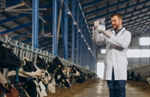 Без запровадження держпідтримки Україна може втратити до 600 тис. тонн промислового молока