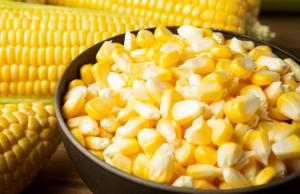 У поточному сезоні очікується експорт на рівні 23,8 млн тонн, що на 8,3% перевищує обсяги минулого МР