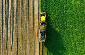 Фермери, які можуть отримати державну підтримку, мають відповідати ключовим критеріям