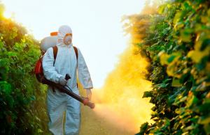 Щодо стандартів благополуччя тварин, закон у галузі тваринництва запрацює з 2 березня