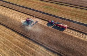 Найвищі ризики у Кіровоградській області: там частина посівів може потребувати пересіву на площі до 40%