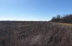 Йдеться про землі у Березівському районі Одеської області