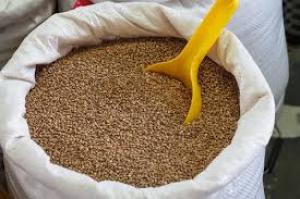 Гречка не є популярним продуктом на світових ринках