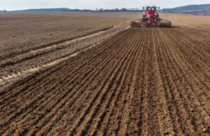 Загальна площа посівів пшениці, кукурудзи, ріпаку, соняшнику, сої та ячменю перевищила позначк у 80 тисяч гектарів