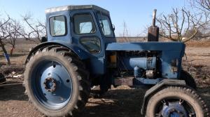 Ціна на кукурудзу формується в Чикаго, на соняшник формується в іншому місті