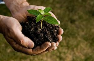 Документ передбачає приєднання до механізму спрощеного обміну генетичними ресурсами 