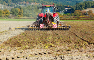 Загалом цьогорічна весняна посівна охопить близько 16 млн гектарів