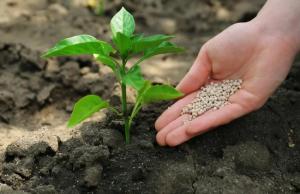 Поточна цінова ситуація вже ставить під сумнів можливість аграріїв забезпечити поля необхідними ресурсами.