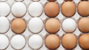 Українці не відмовляться від яєць на свято навіть за суттєвого здорожчання: ціни