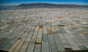 Йдеться про гігантську зону теплиць поблизу міста Альмерія