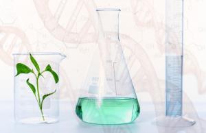 В Україні набирає чинності новий закон, який запускає обов'язкову державну реєстрацію ГМО