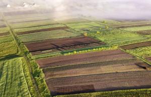 Фахівці провели виїзний моніторинг на 94 ділянках площею понад 5 тис. га