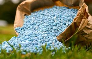 Україна володіє значними ресурсами для сільського господарства