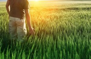 Одним із головних нововведень стане статус зон ризикованого землеробства.