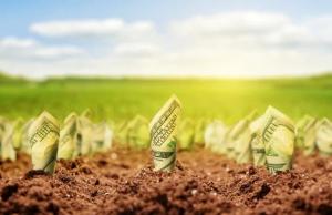Перші торги стартували у жовтні 2024 року через систему «Прозорро.Продажі»