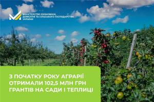 12 суб’єктів господарювання залучили 56,5 млн грн на сади та виноградники