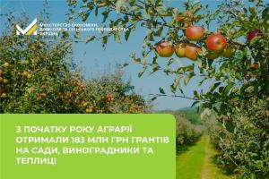 22 гранти на 89 млн грн спрямовані на розвиток садівництва, ягідництва та виноградарства