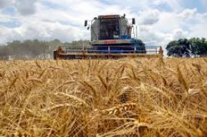 Однією з головних причин кризи стали атаки українських безпілотників на російські нафтопереробні заводи,