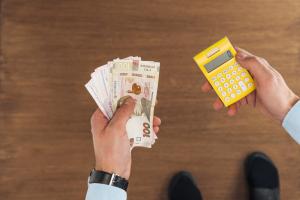 Земля стала доступним інструментом не лише для аграріїв, а й для приватних інвесторів