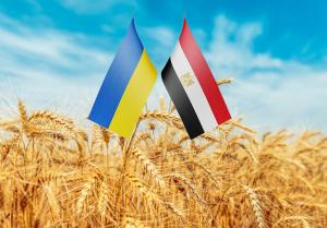 Одним із найбільш вразливих для України ринків є Єгипет