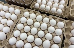 Виробники м’яса птиці та яєць прогнозують зростання собівартості продукції на 10–15% 
