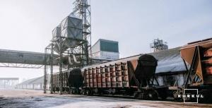 Середньодобова передача зернових вагонів через західні прикордонні переходи збільшилася у 2,3 раза