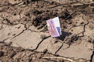 Названо ТОП-10 найдорожчих об’єктів купівлі-продажу землі за січень