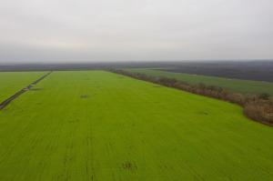 Озвучено ризики створення тимчасової комісії ВРУ з розслідування земельних питань