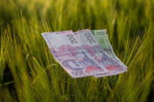 За тиждень аграрії отримали пільгових кредитів на 6,87 млрд грн