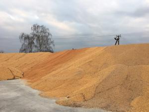 Уряд закликали викупити зерно у аграріїв та створити державний резерв