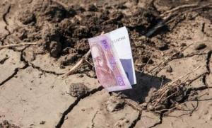 Агропідприємства Донеччини зазнали близько 4 млрд грн збитків від війни 