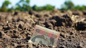 Аграрії прифронтових та деокупованих територій  отримали держпідтримку