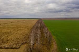 Середня вартість 1 га проданих земельних ділянок за рік становить 46,7 тис. гривень