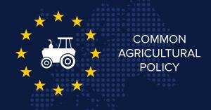 Українські аграрії готові відповідати європейським стандартам