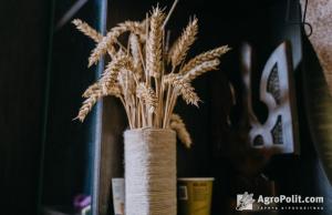 У ЄС очікують, що інтеграція українського та європейського АПК буде успішною