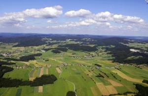 91 компанія зменшила свої земельні банки до рівня менш як 100 гектари за два роки