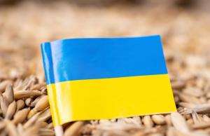 WFP підтвердила готовність продовжувати закупівлі українського зерна
