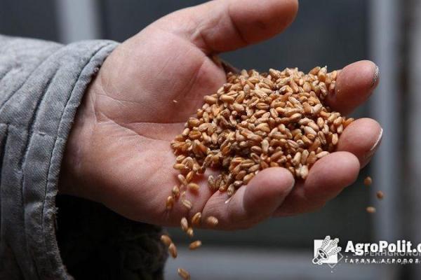 Компанія зі складу групи ДЕТК починає торгувати зерном 