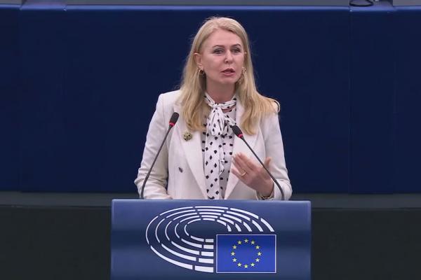 У 2025 році Україна експортувала 11,79 тис. т органічних дикорослих ягід