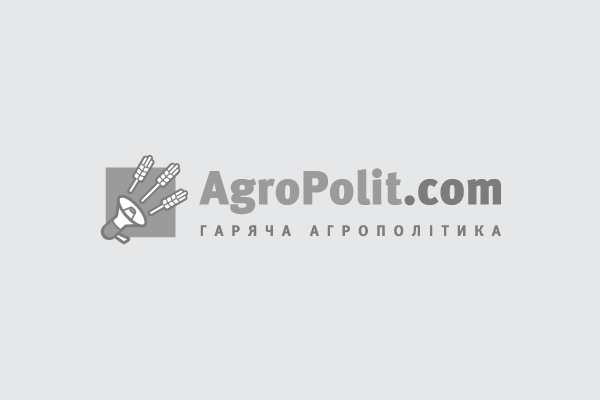 У 2025 році Україна експортувала 11,79 тис. т органічних дикорослих ягід