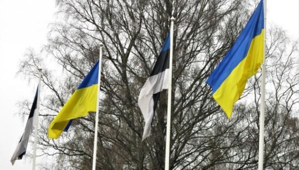 Естонія розглядає варіанти для підтримки соціальних проєктів і українського бізнесу