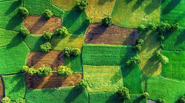 Однією з ключових умов для продажу землі є наявність кадастрового номера